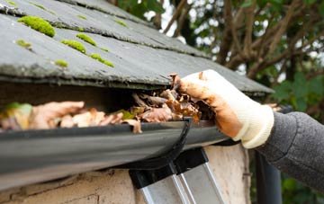 gutter cleaning Reabrook, Shropshire